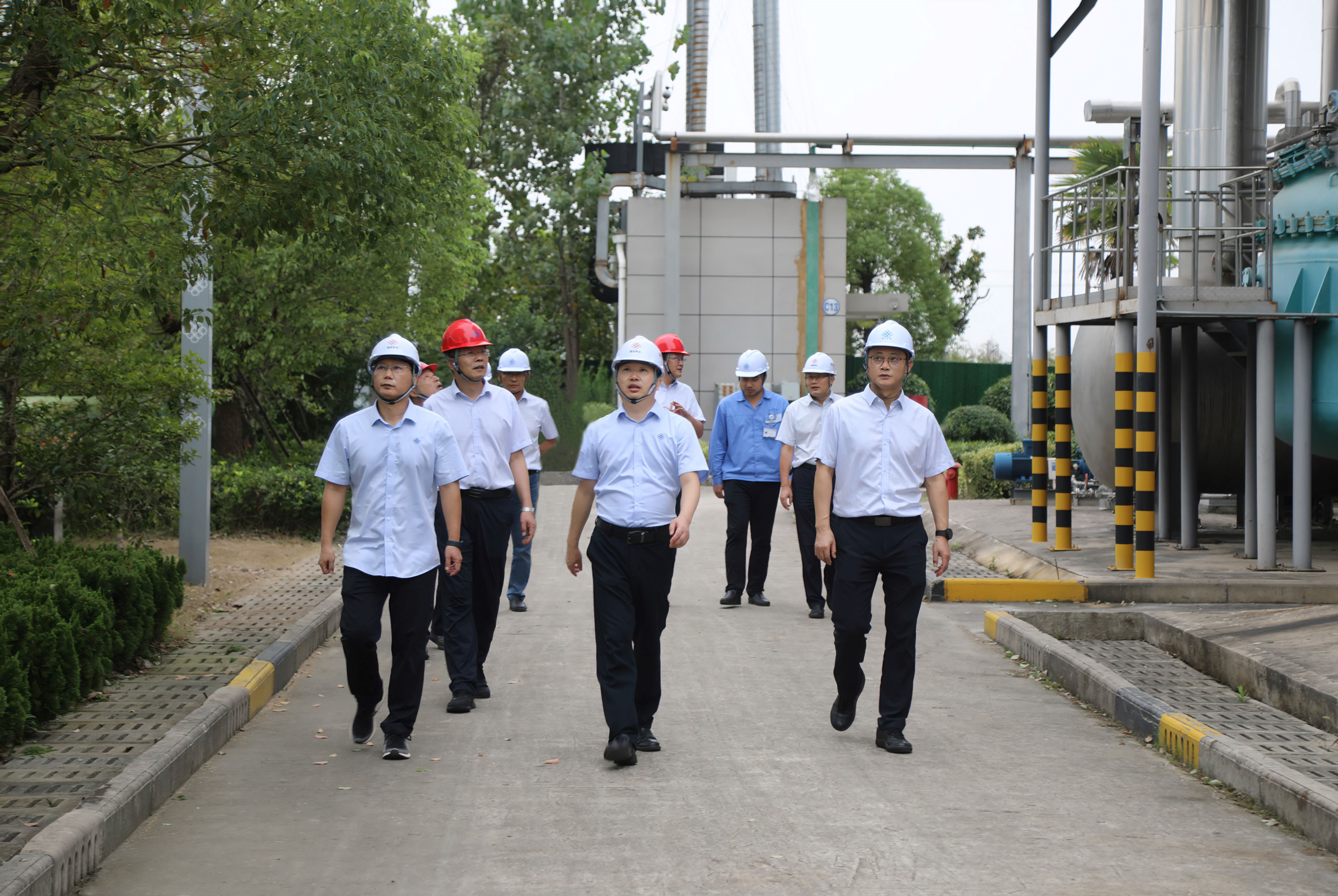 f1e19a230542c1022ea98b8309d64ff8